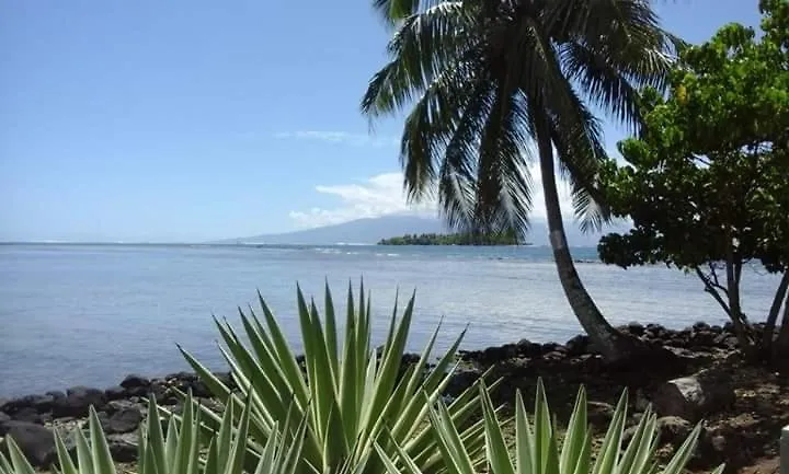 Fare blue lagon view Moorea Polynésie française